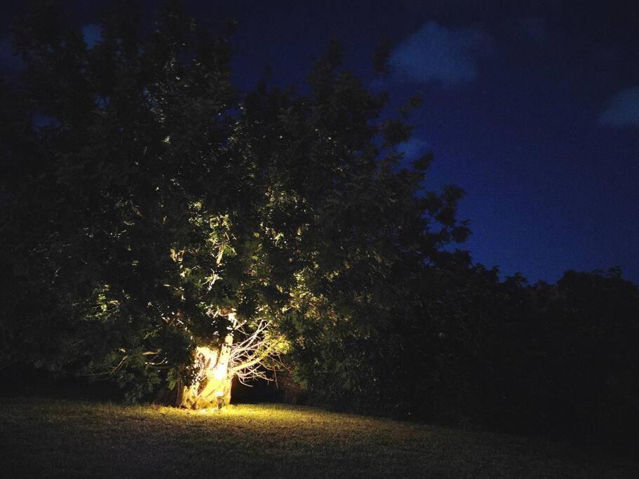 Villa Del Carrubo A Due Passi Dal Mare Di Cefalu Collesano Cameră foto